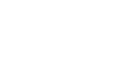 Strefa Liderek